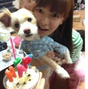 成都驻颜医学美容医院做整改脸型可以吗？