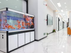 长沙牙大夫种牙多少钱？费用明细请看这