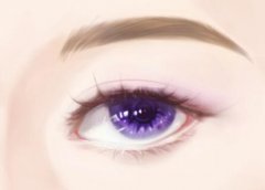 去鱼尾纹一般的价格|静态纹的救星