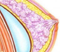 做乳头整形的价格是多少？从几千到几万差在哪？看完不踩坑