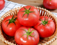 西红柿怎么吃减肥？解锁西红柿减肥吃法来了