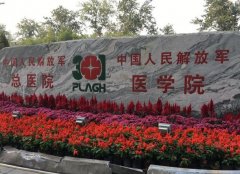 北京解放军总医院整形外科怎么样？项目与医生全攻略