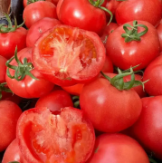 西红柿减肥7天瘦7斤是真的吗？亲测有效不挨饿的懒人方案